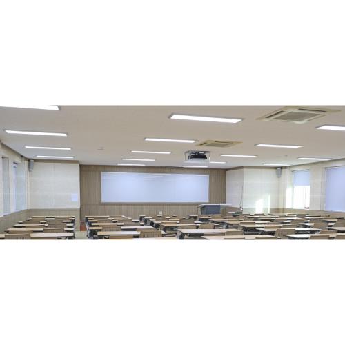 Deckenaufbauleuchte True-Light® (schaltbar), 120x30x5 cm